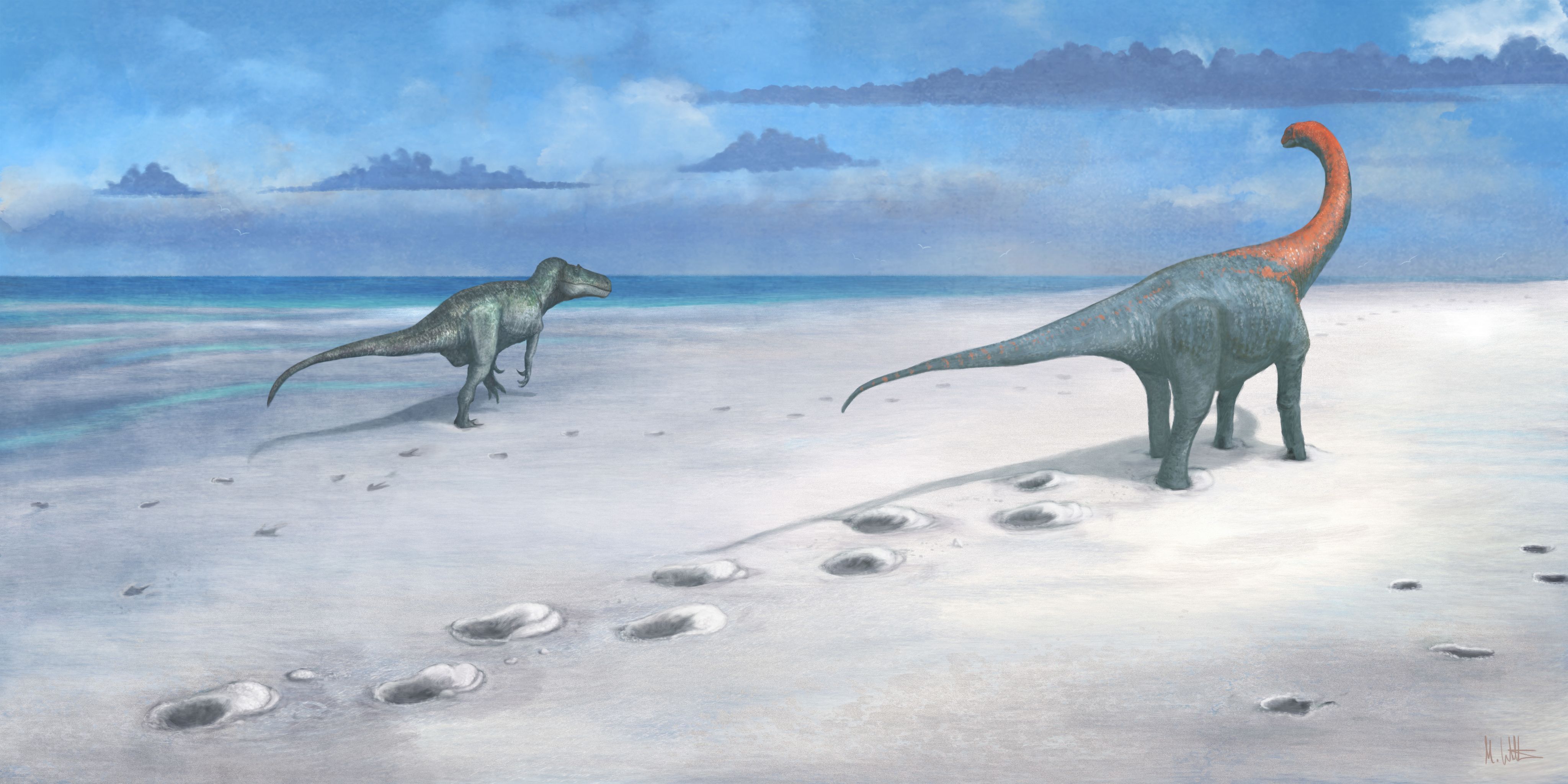 Illustration of a sandy landscape with lagoon of water. A herbivorous sauropod walks along, making footprints with a two-legged predatory dinosaur nearby.