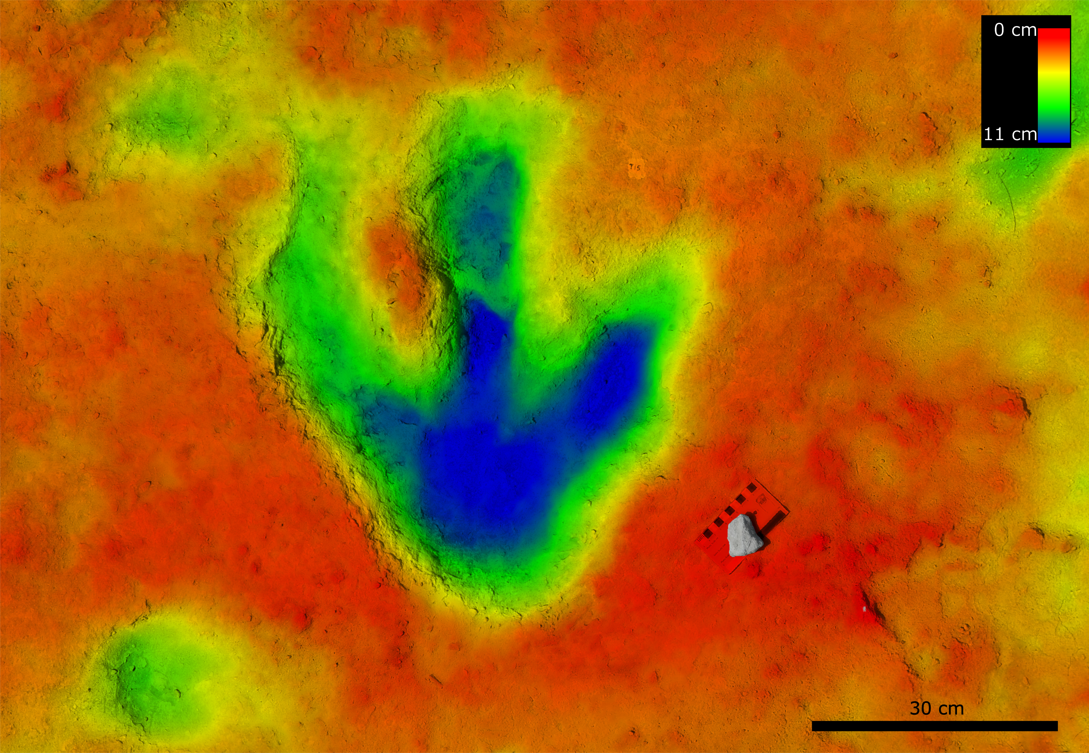 A three toed footprint from a carnivorous dinosaur, artificially coloured by depth.