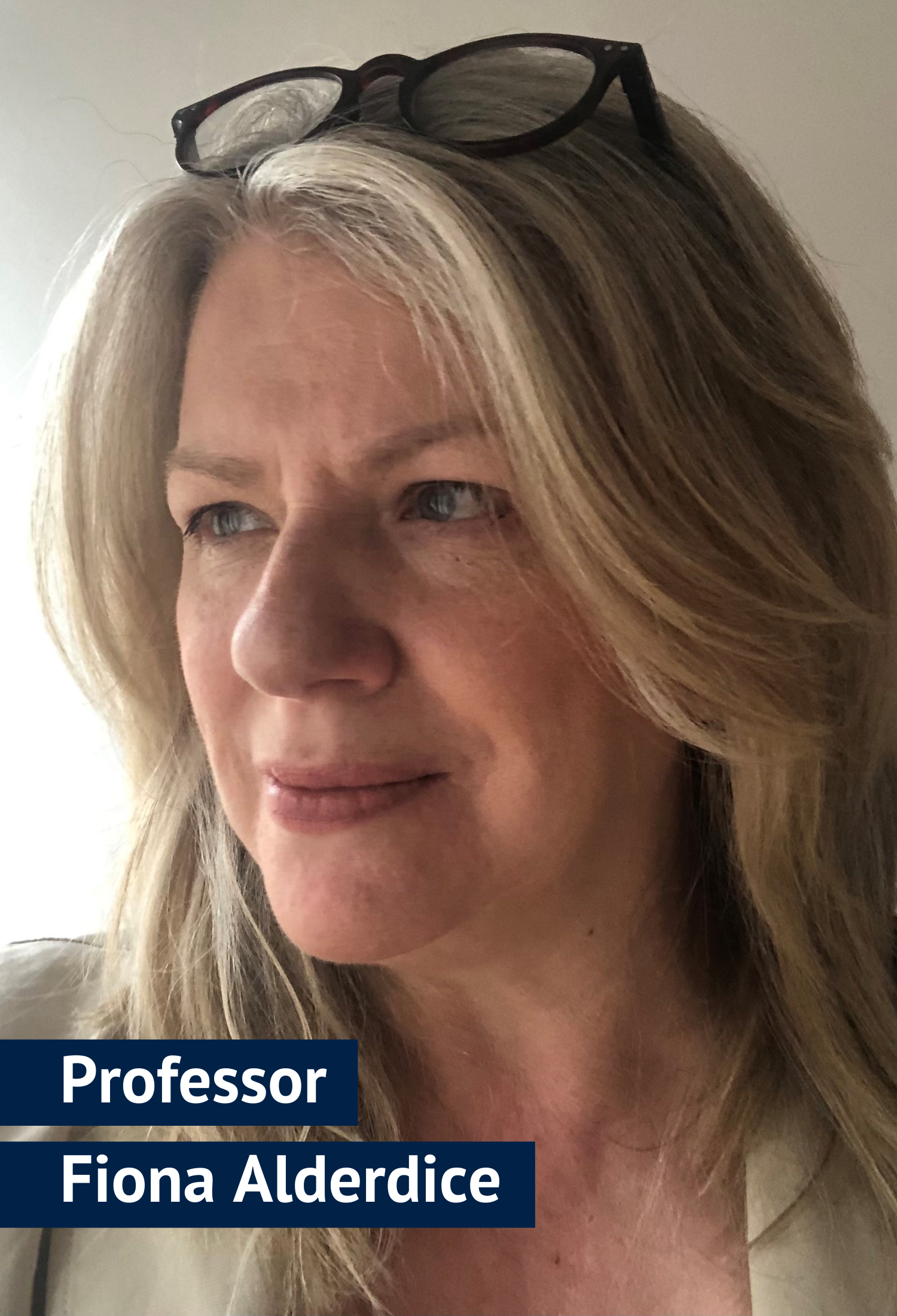Professor Fiona Alderdice