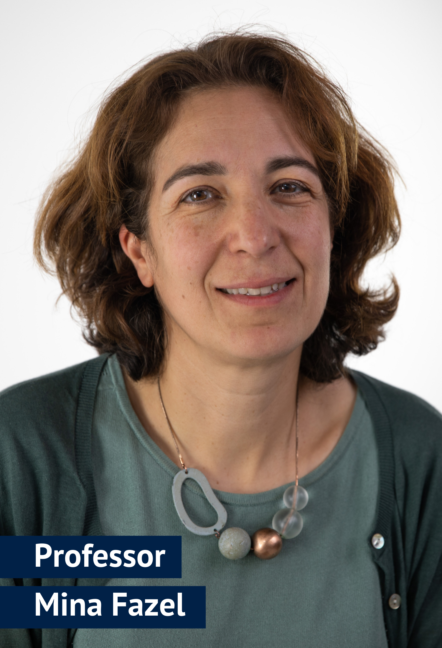 Professor Mina Fazel
