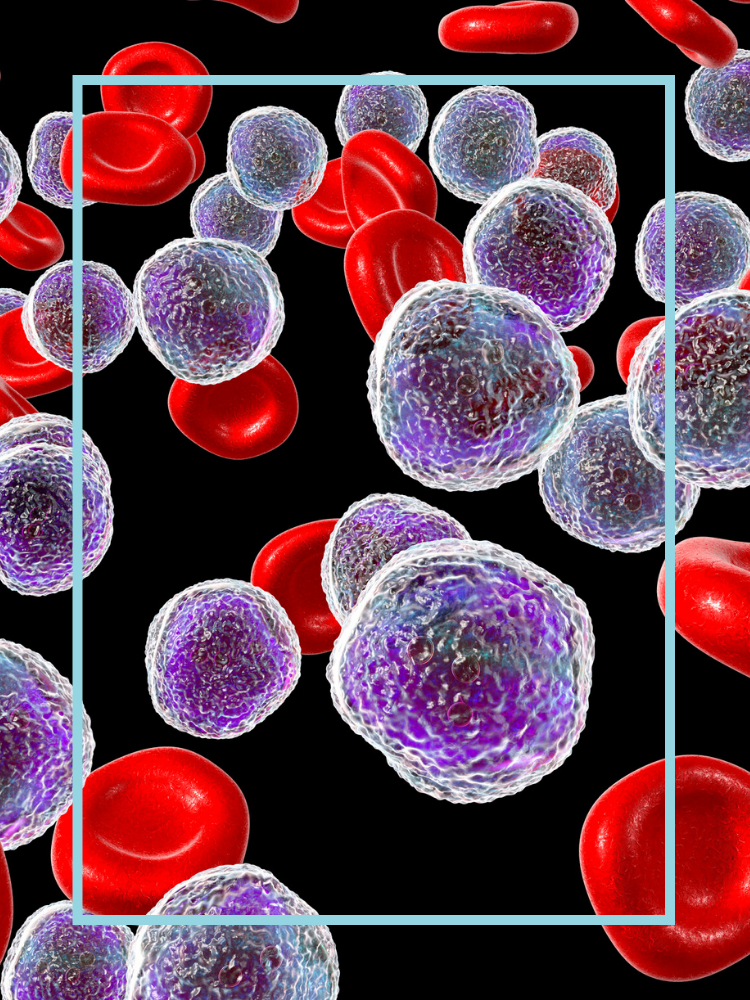 Leukaemia cells