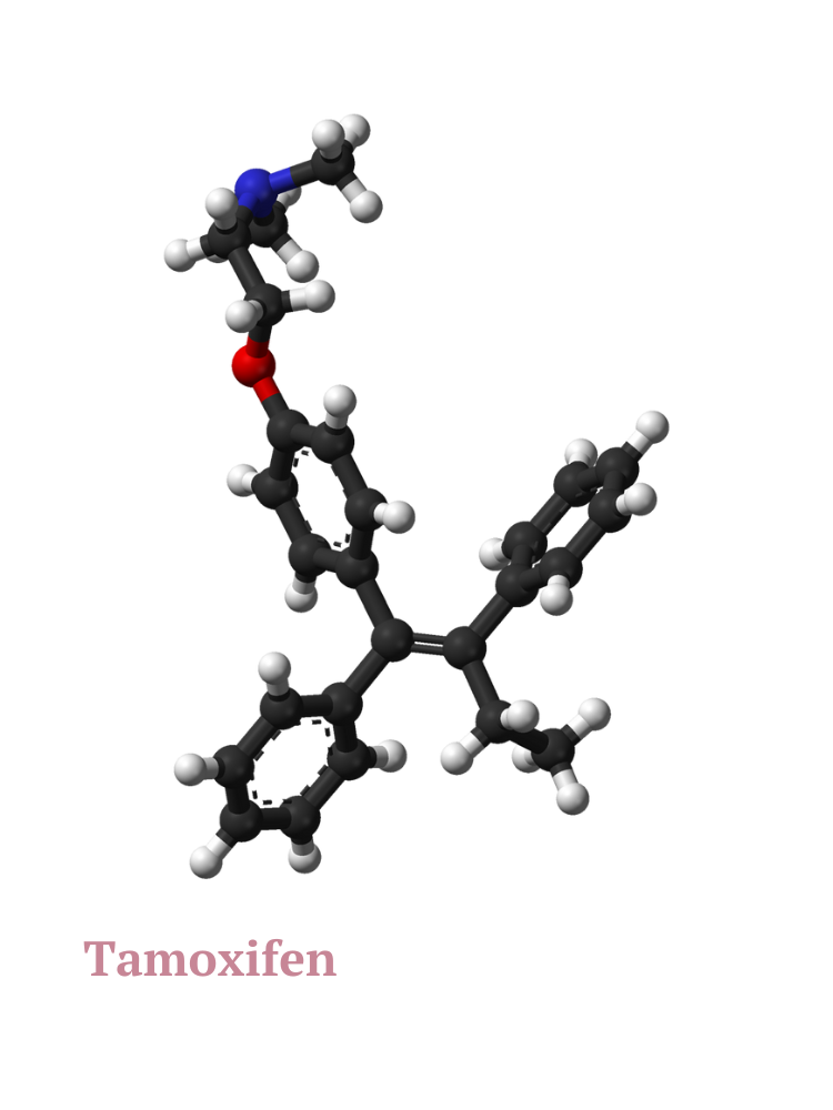 A computer model of tamoxifen