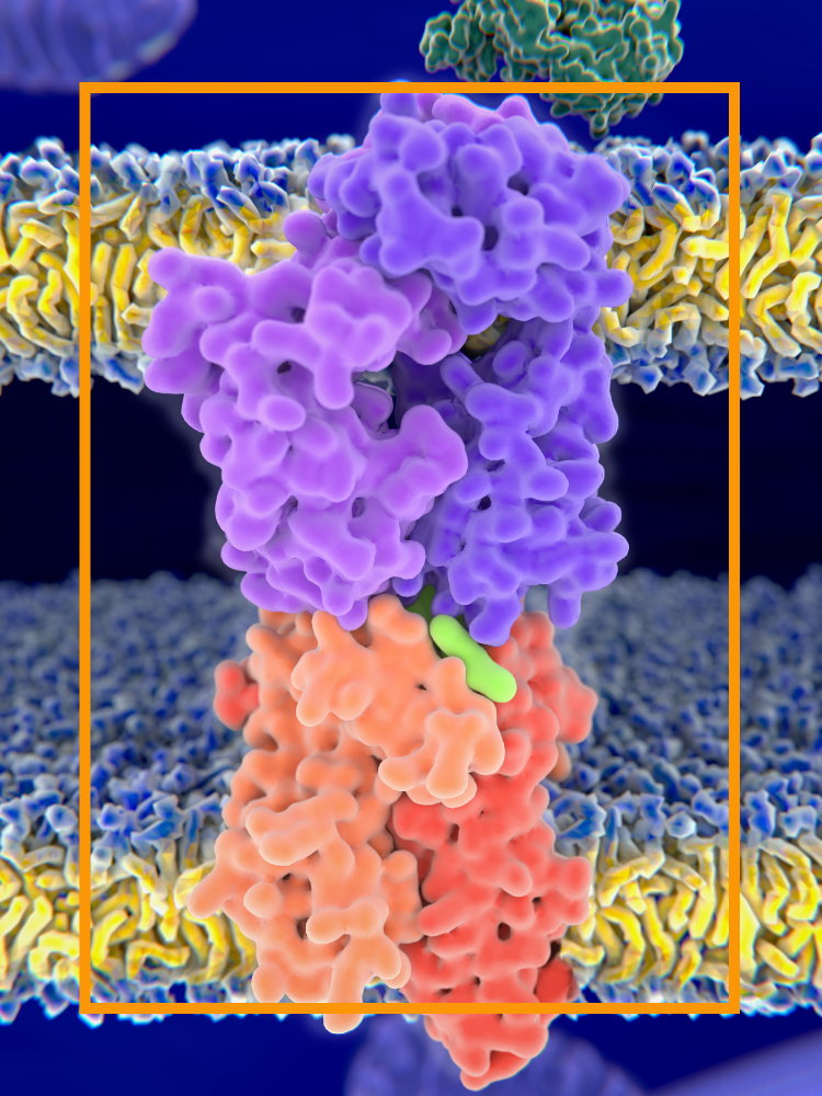 A hand with an IV attached