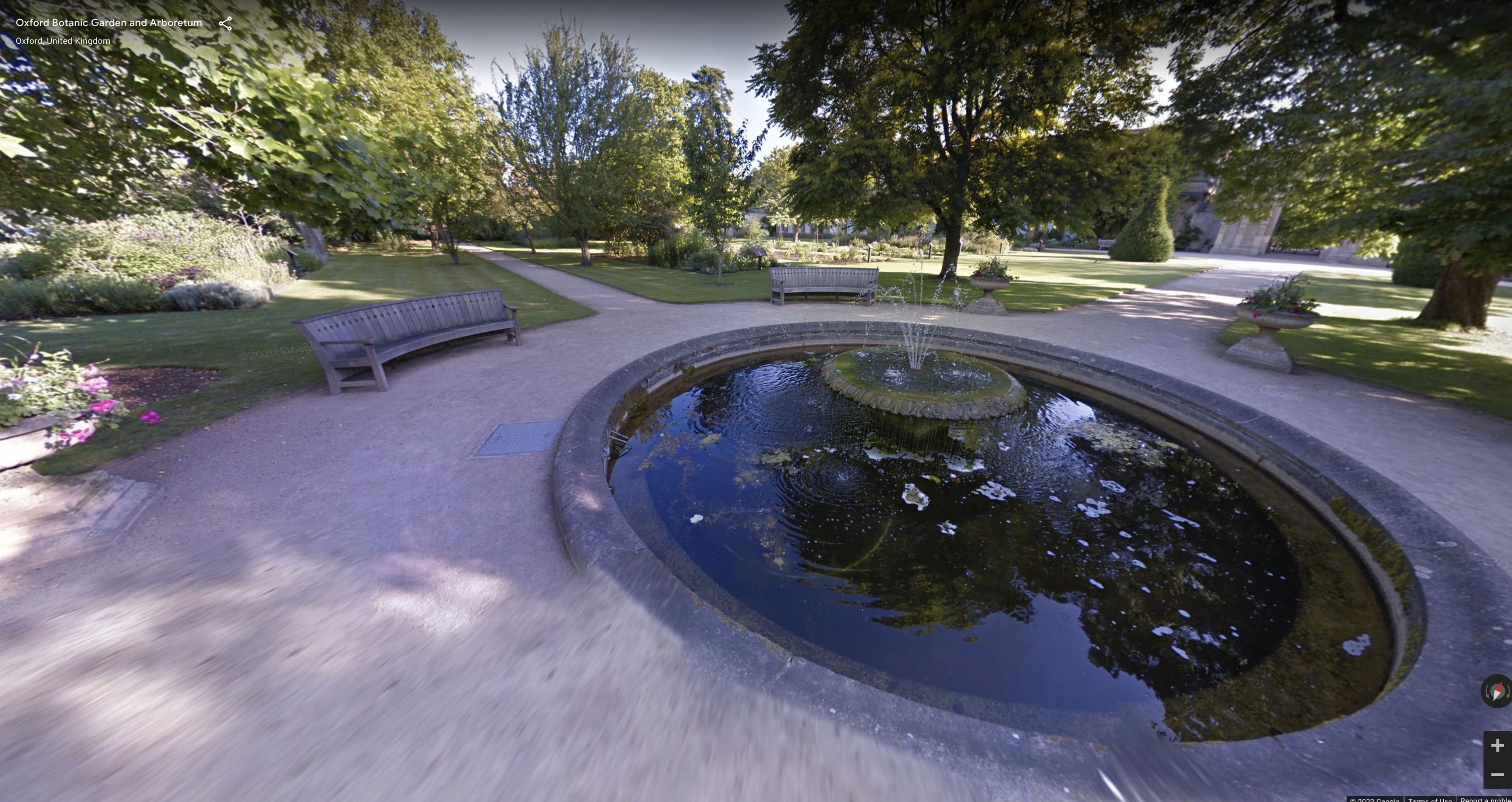 A view of the Botanic Gardens showing a fountain