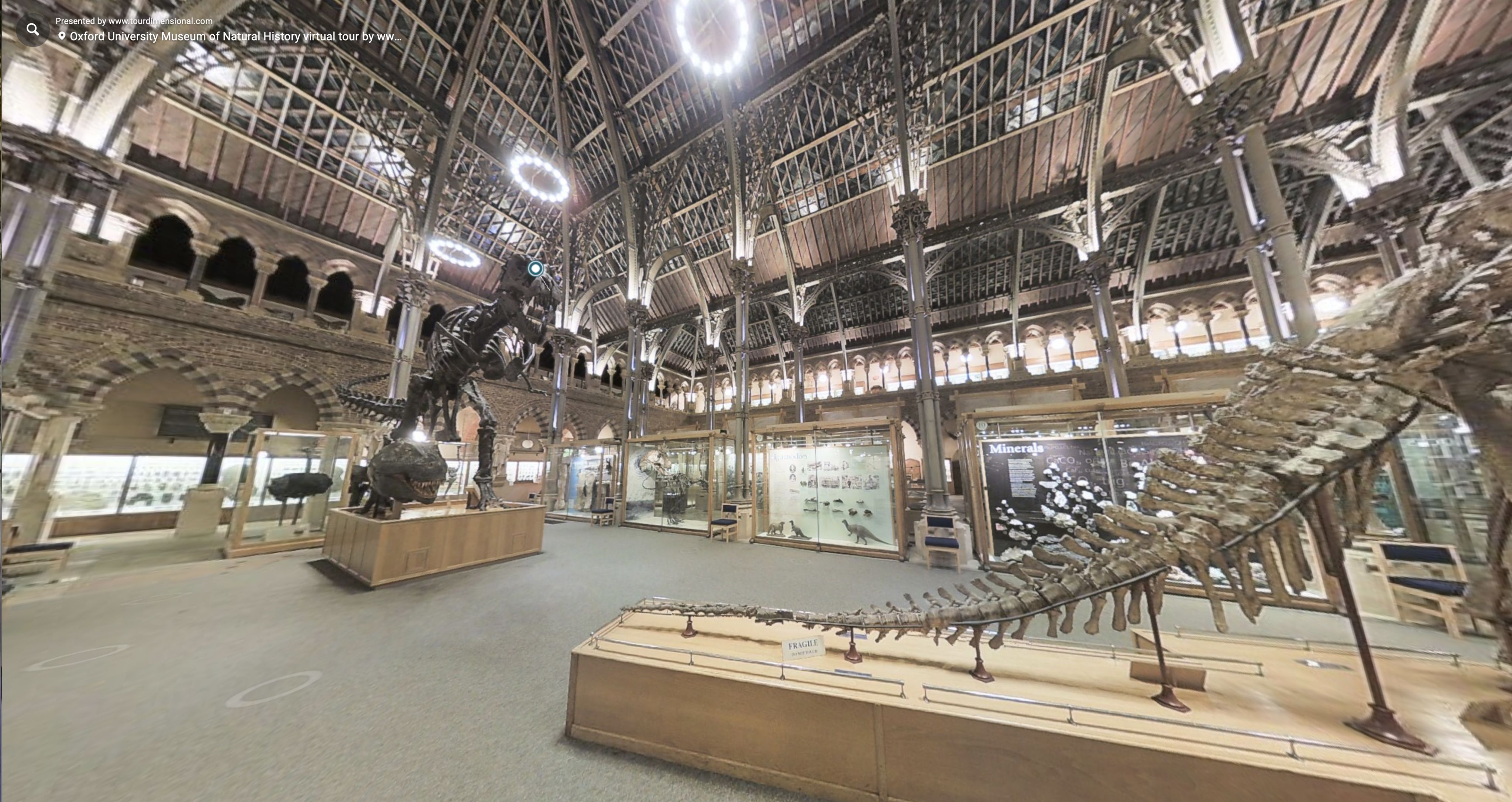 A view inside the Oxford University Museum of Natural History