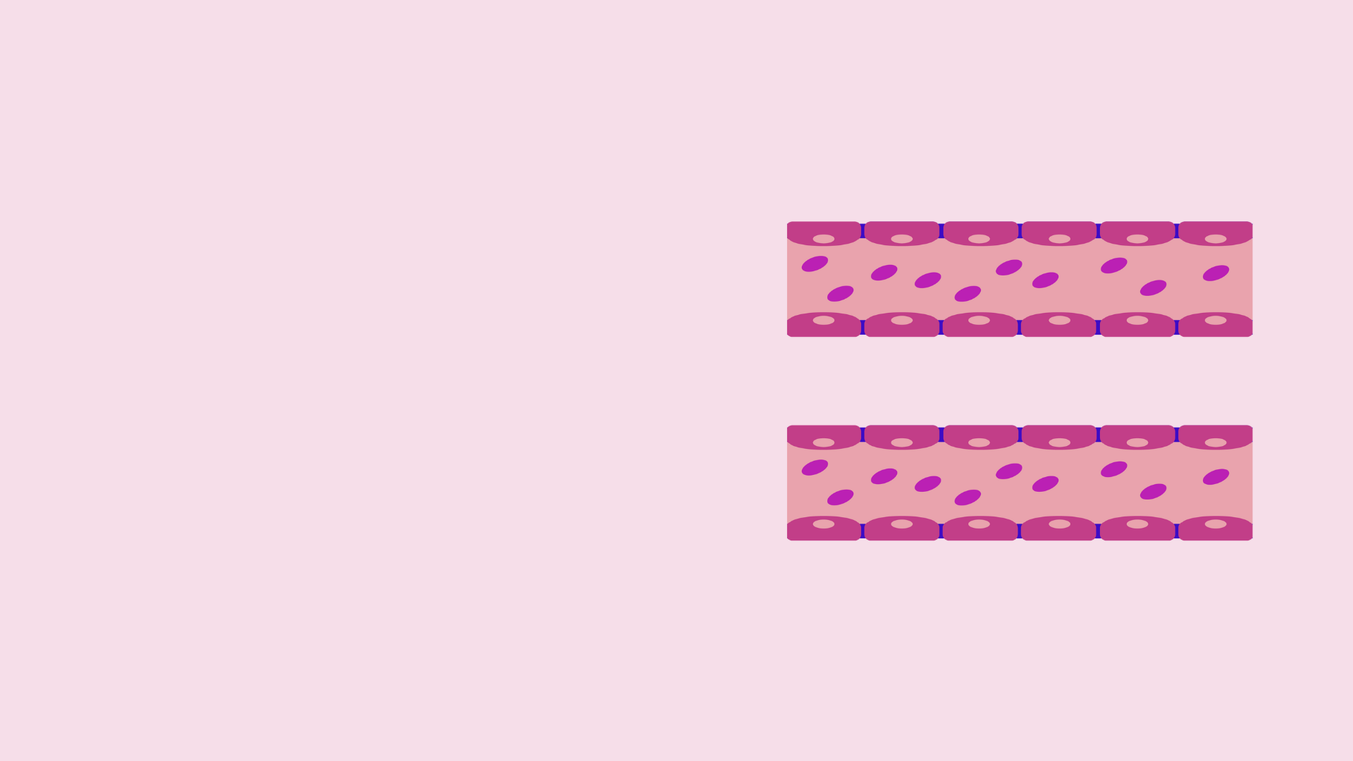 Illustration of the blood-brain barrier 