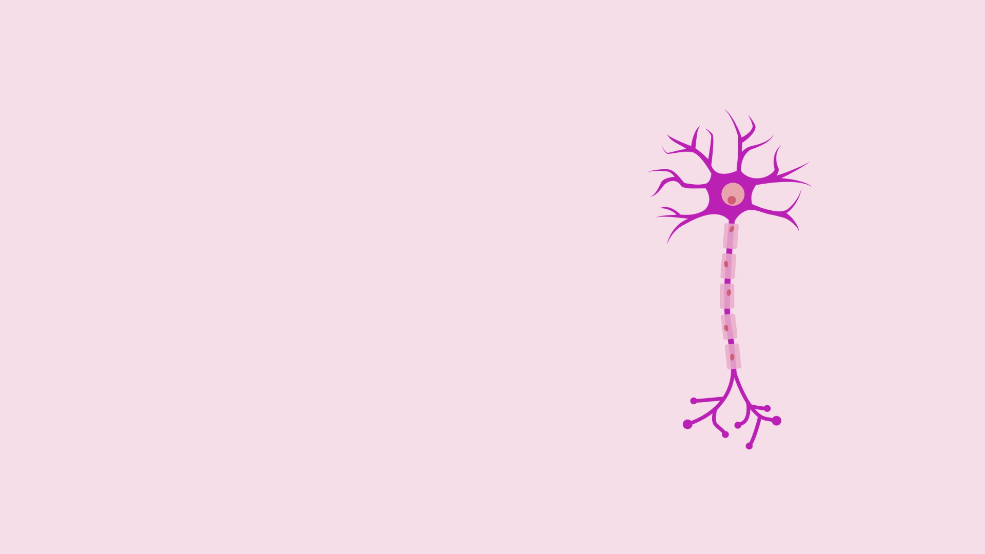 Illustration of a neuron 