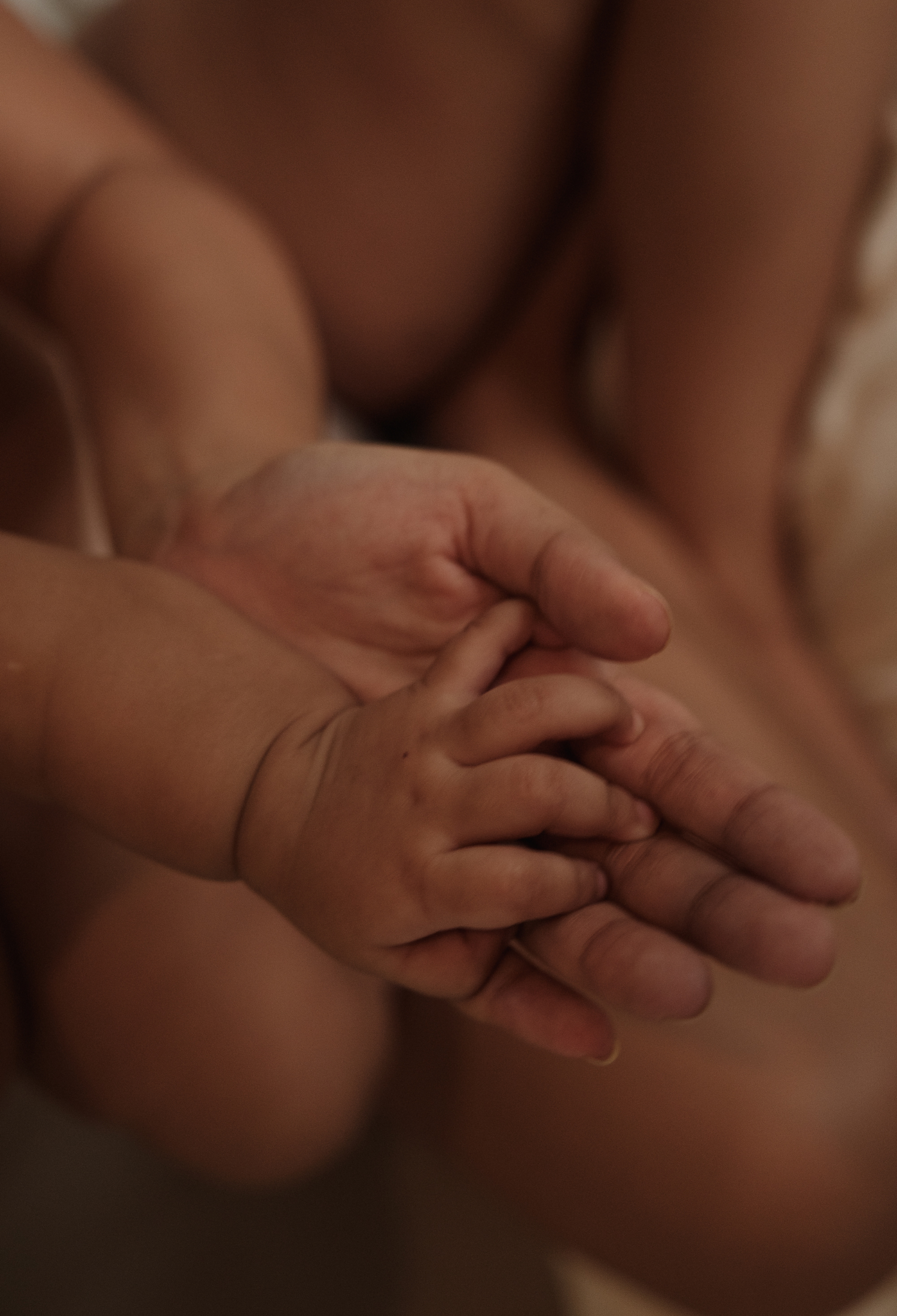 A baby's hand inside an adult's hand