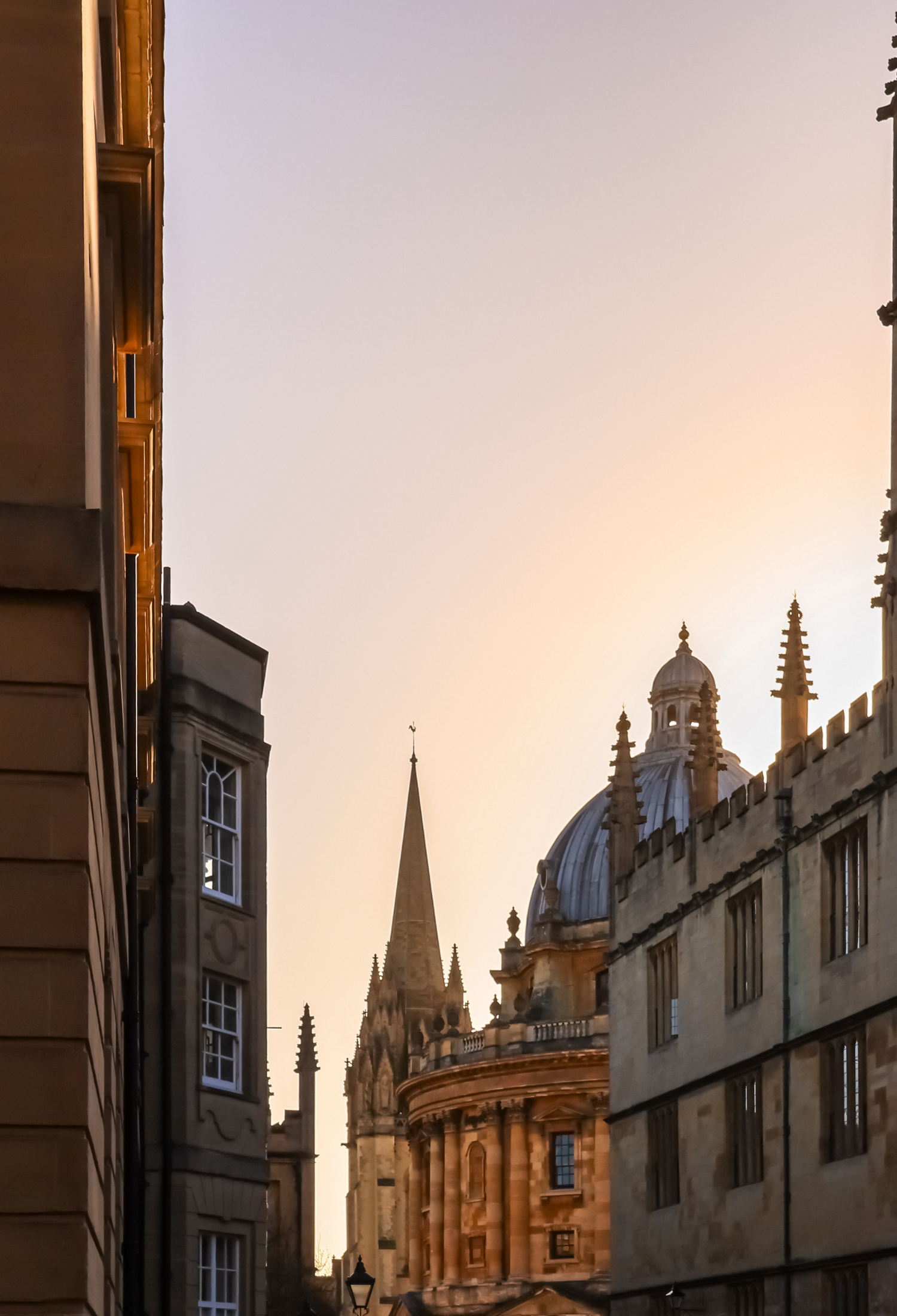 A photo of the Radcliffe Camera in the background